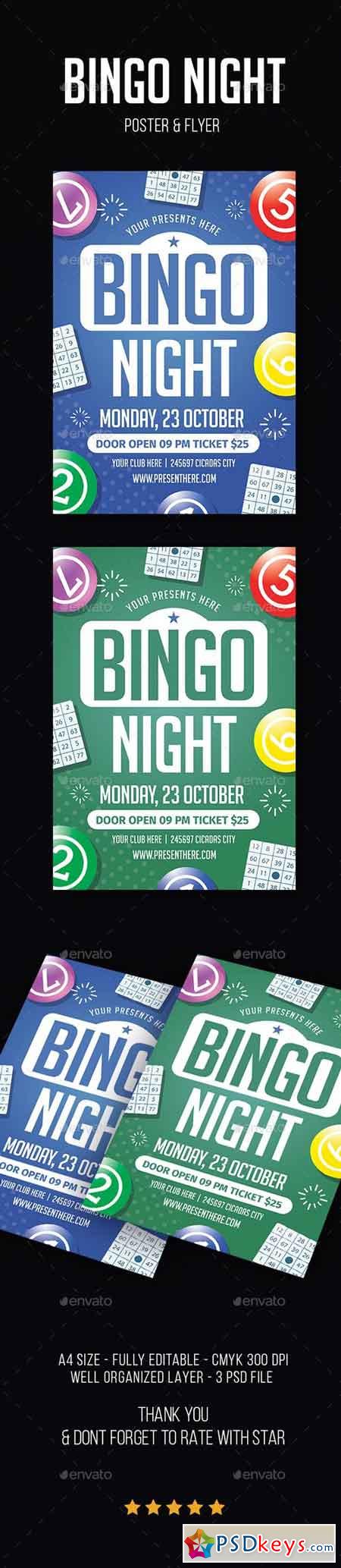 Bingo Night Flyer 21635881