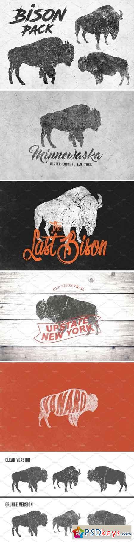 Bison Animal Vector Illustrations 1569530