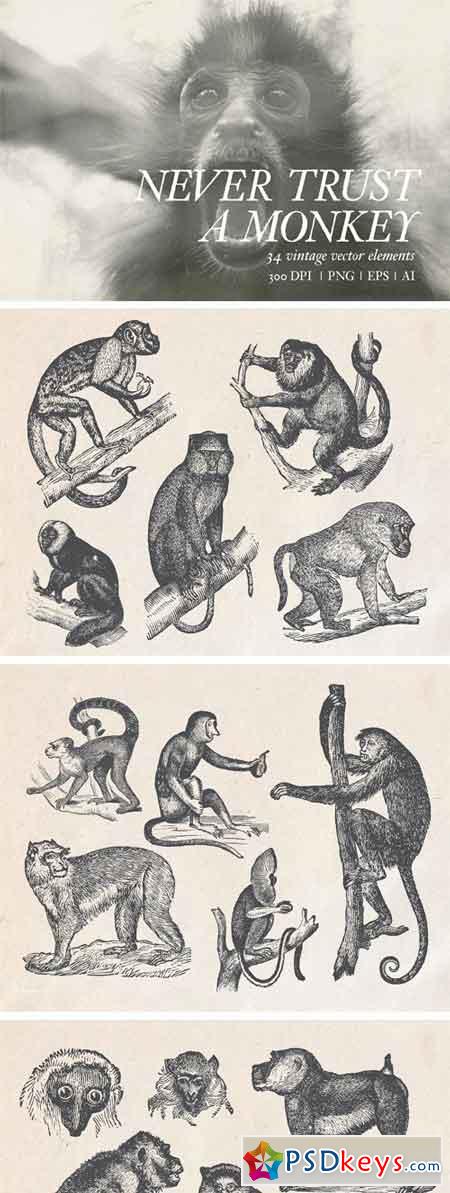 Never Trust a Monkey - Vintage Set 2349641