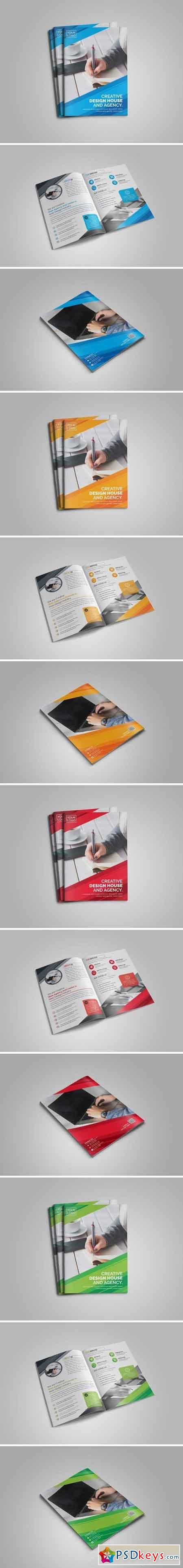 Pro Bi-Fold Brochure 2047995