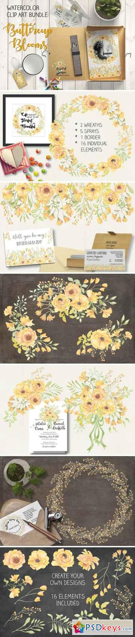 Watercolor bundlex Buttercup blooms 1581184