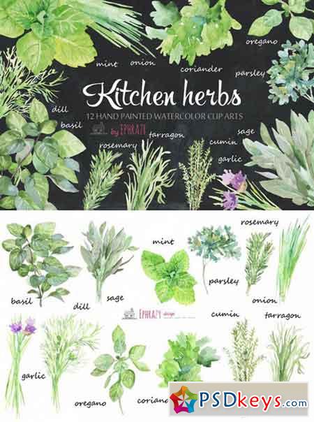 Kitchen herbs Watercolor clipart 1576638
