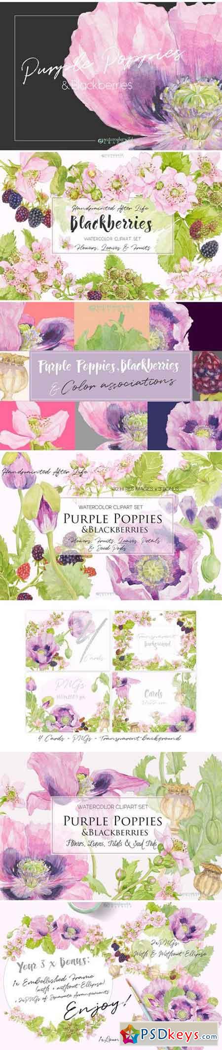 Purple Poppies&Blackberries-Clipart 1575670