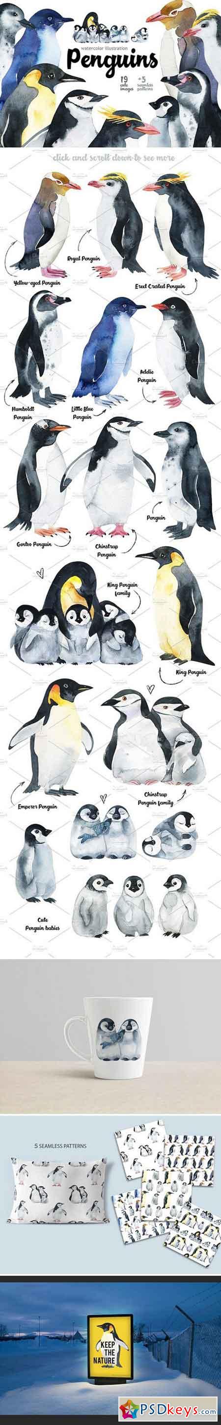 Penguins at the Pole-illustration 2283741