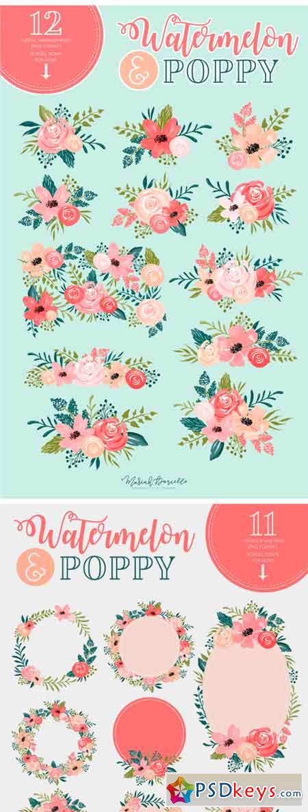 Watermelon Poppy Floral Graphic Set 2336127