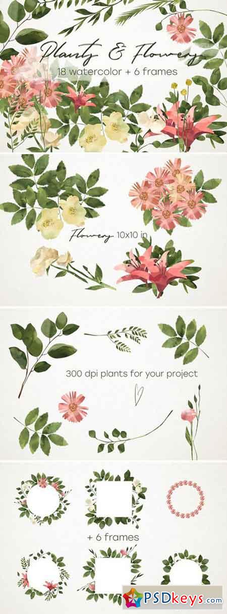 Plants & Flowers 2380042