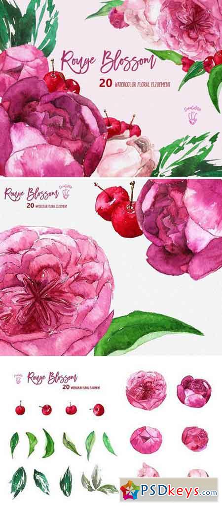 Rouge Blosssom 1588985