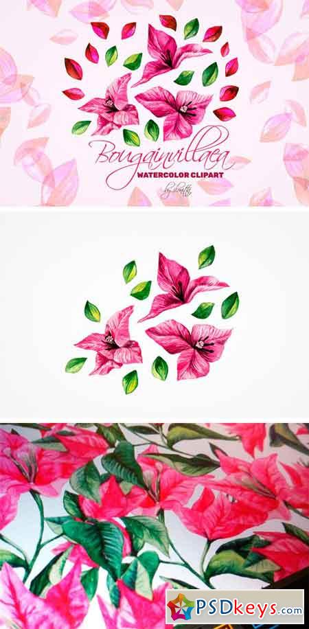 Bougainvillea Floral Clipart 2423604