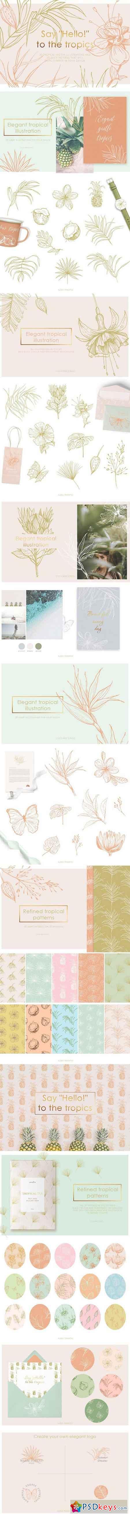 Tropical illustrations and patterns 2401904