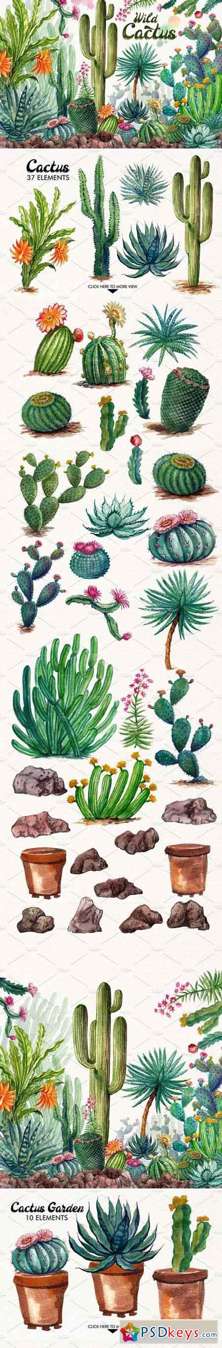 Watercolor Cactuses 1485736