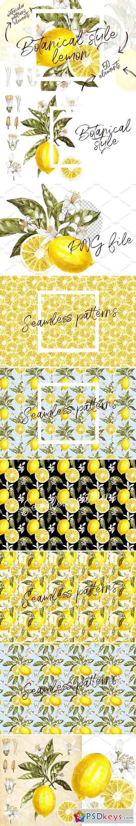Lemon in botanical style 1566845