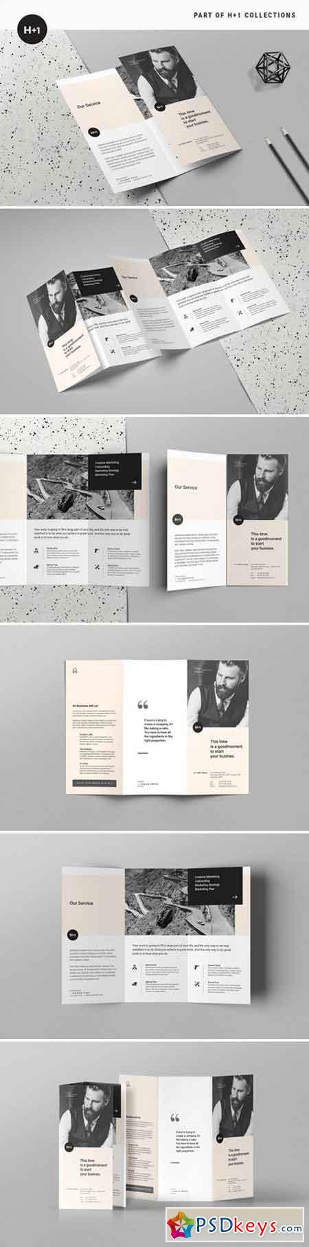 Business TriFold Brochure 2428239
