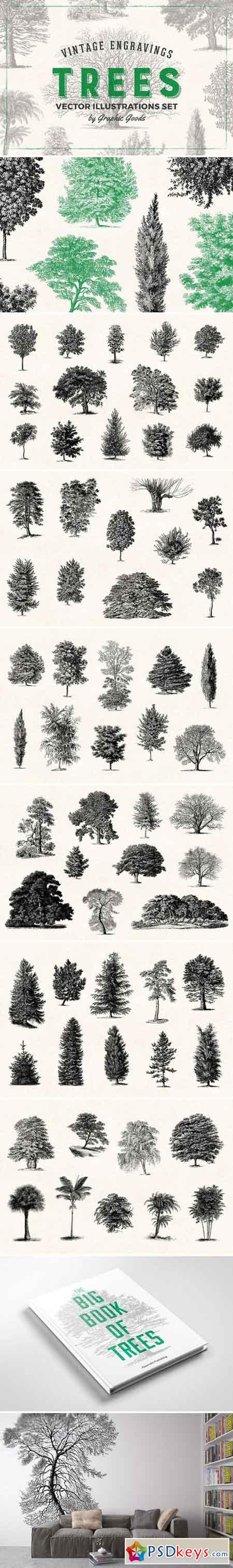 Trees - Vintage Illustrations Set 1566833