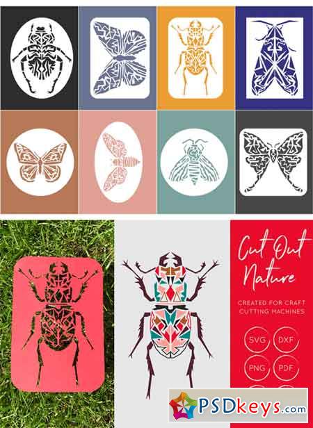 Butterflies and Beetles SVG Bundle 2353224