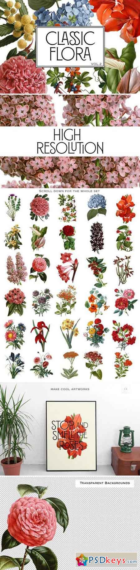 Botanical Flowers vol.2 1543196