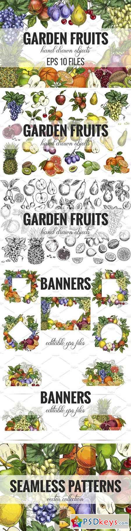 Garden Fruits, vector collection 2404657
