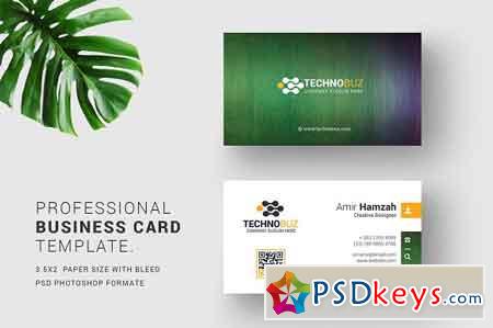 Business Cards 2474030