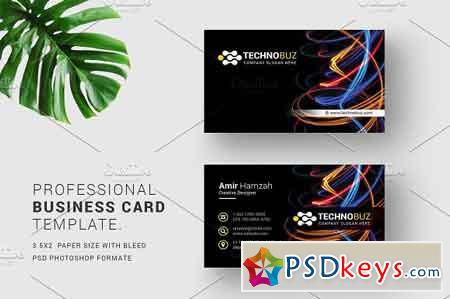 Business Cards 2473914