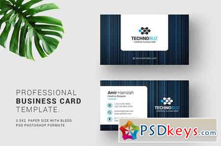 Business Cards 2474263