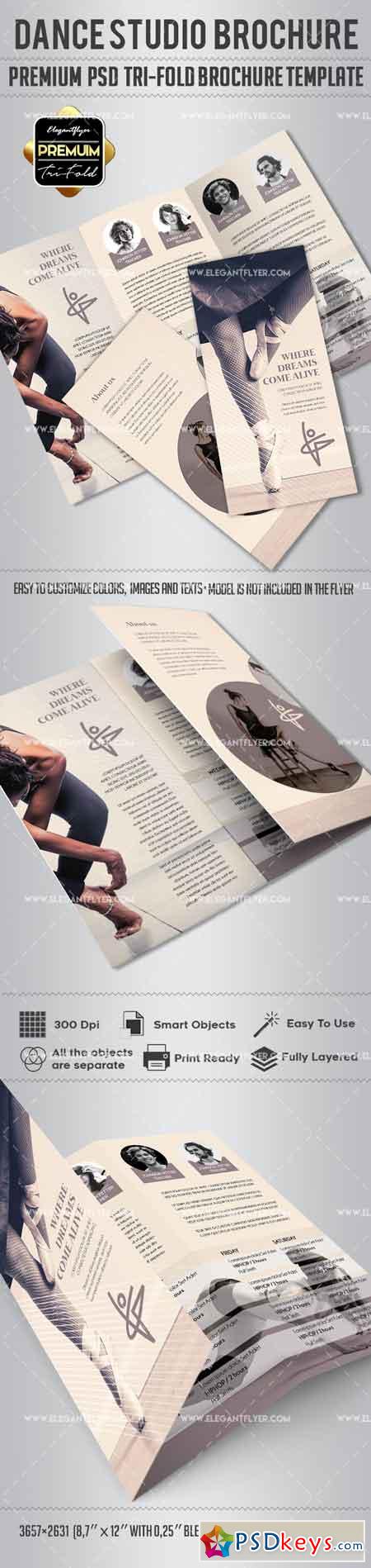 Dance Studio  Tri-Fold Brochure PSD Template