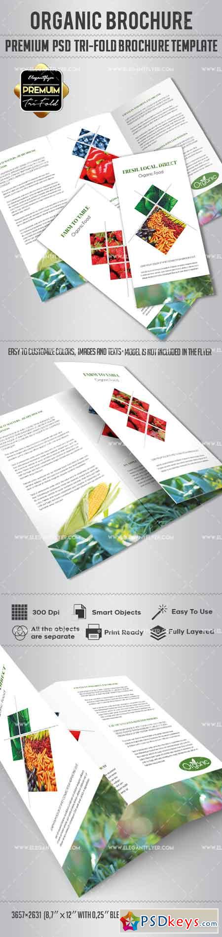 Organic Food – Tri-Fold Brochure PSD Template