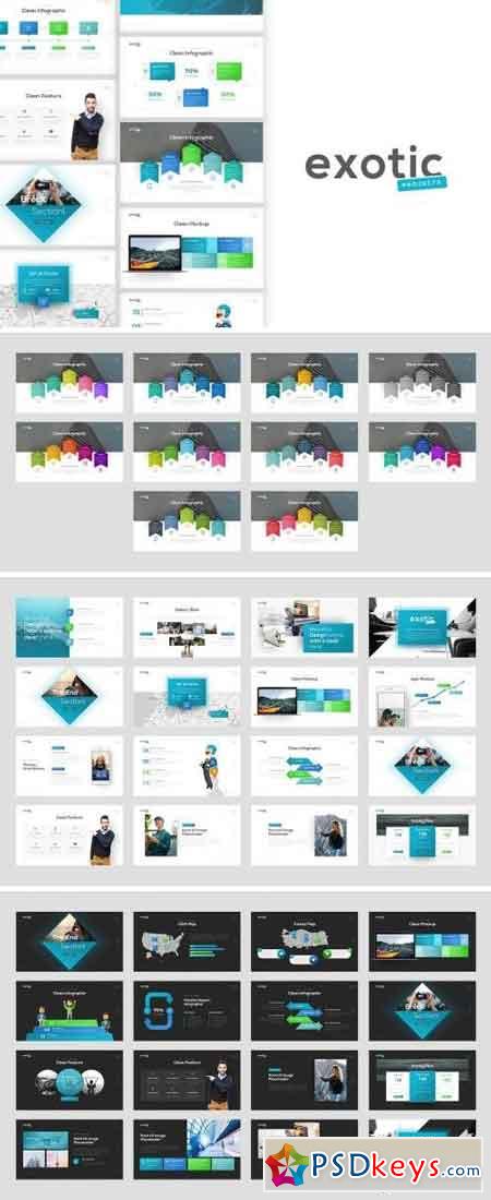 Exotic Project Presentation Template