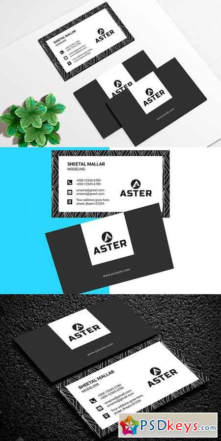 Business Card 2554557