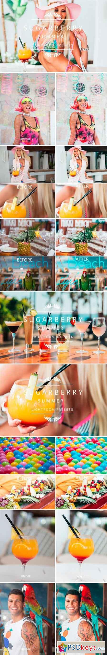 Sugarberry Summer Lightroom Presets 2456454