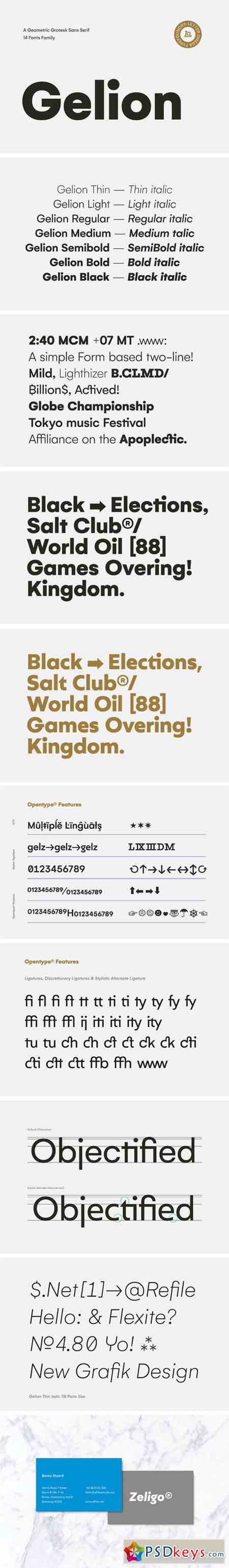 Gelion Geometric Sans Serif 2390572
