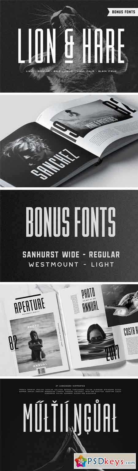 Lion & Hare Font + Bonus Fonts! 2394946