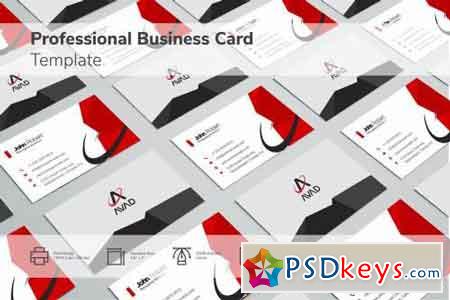 Professional Geometrical Red & Grey Business Card