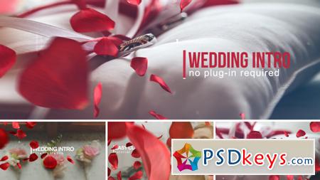 Wedding Intro 14584906 - After Effects Projects
