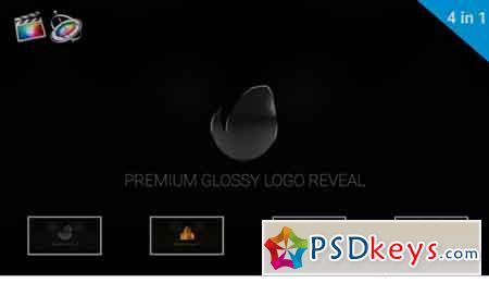 Premium Glossy Logo Reveal 2511775