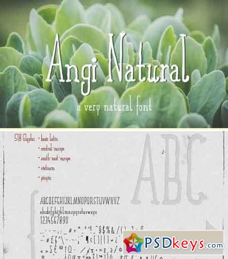 Angi Natural Font