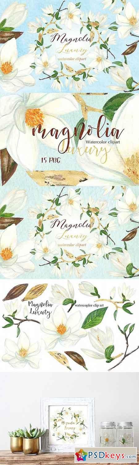 Magnolia white luxury clipart 1003324