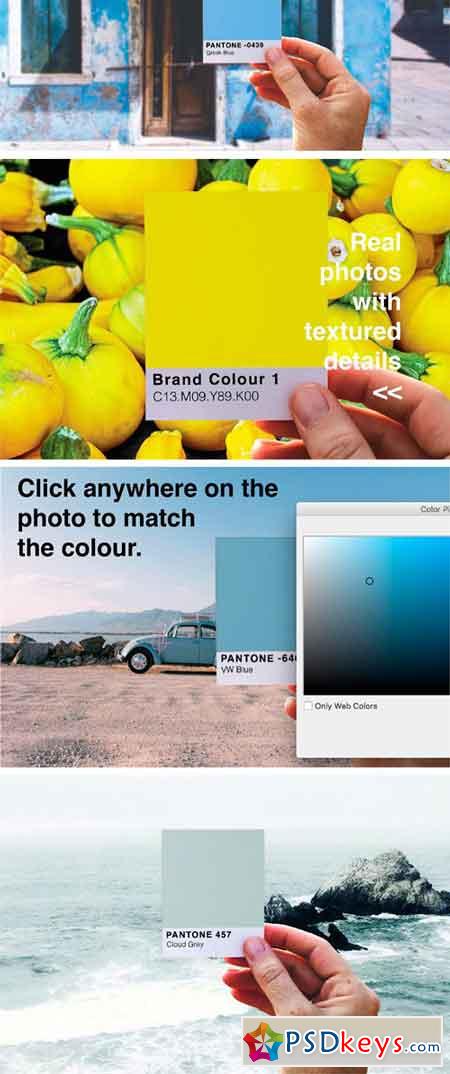 Pantone Colour Match Mockup PSD 2509422