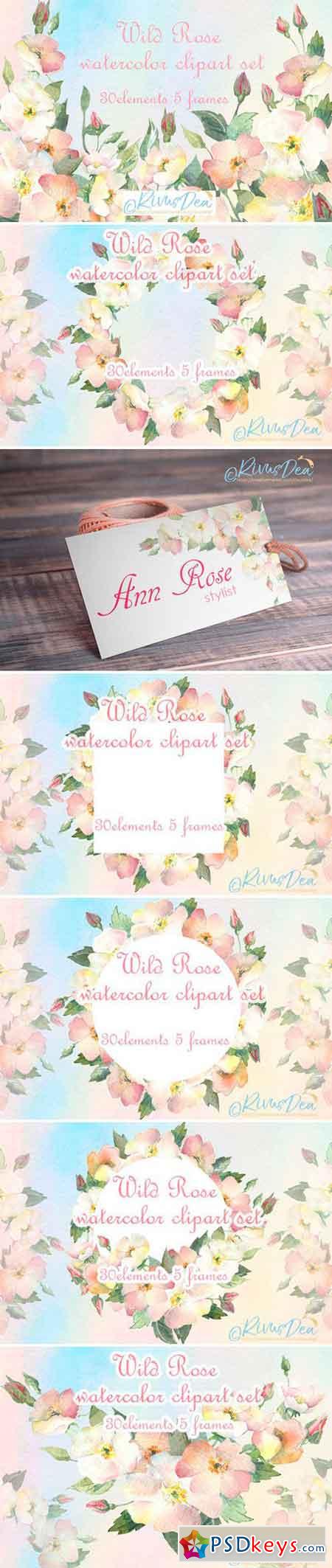 Watercolor wild dog rose clipart set 2515098