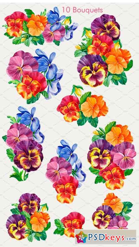 Colored Pansies Flowers 2511868