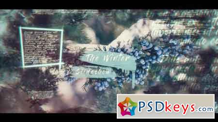 Elegant Christmas Slideshow Winter After Effects Template 20938289