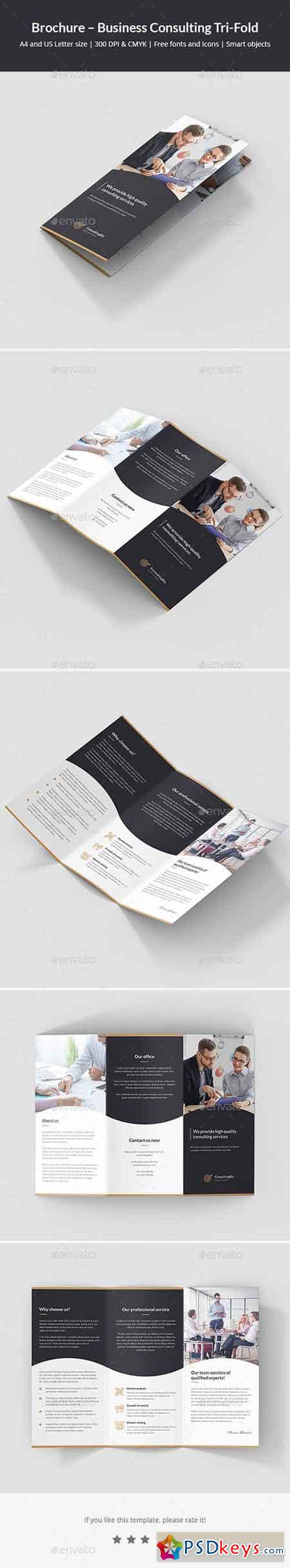 Brochure  Business Consulting Tri-Fold 22015194