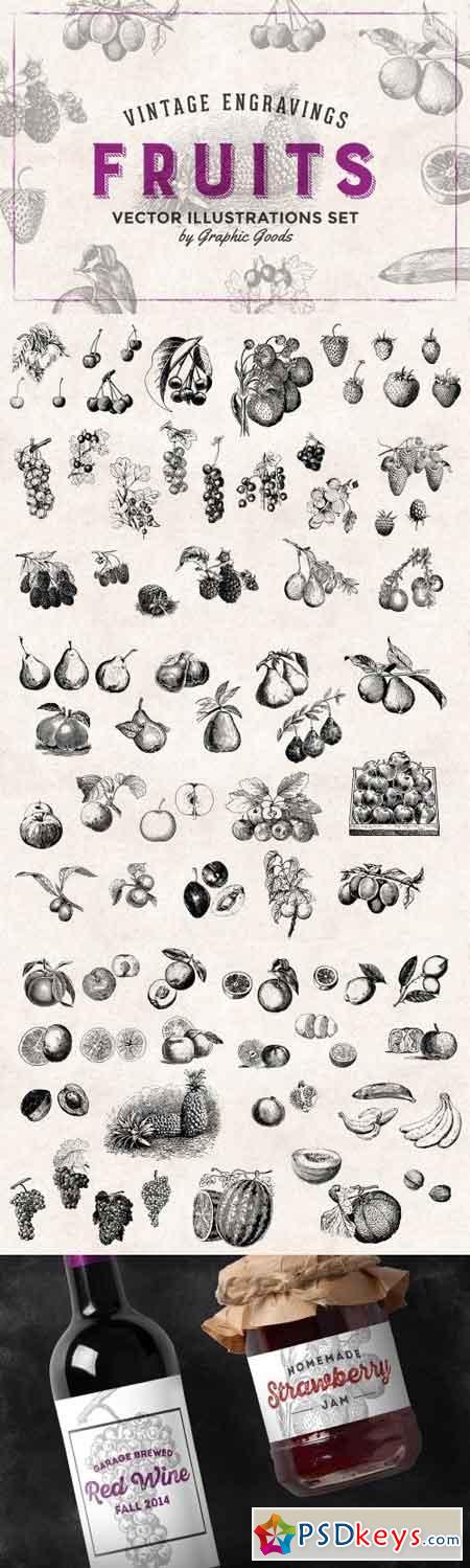 Fruits Engravings Set 478896