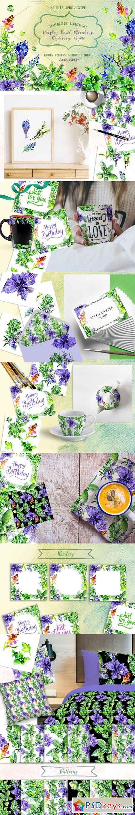 Bouquet of herbs PNG watercolor set 270526