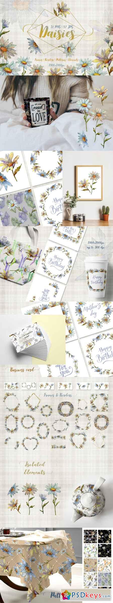 Cool white chamomile PNG watercolor set 3463324