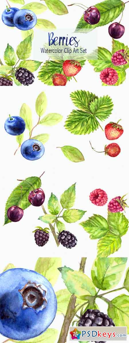 Watercolor Berries Clip Art Set 3462939