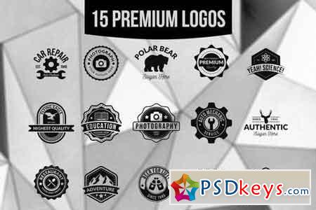 15 Premium Logos