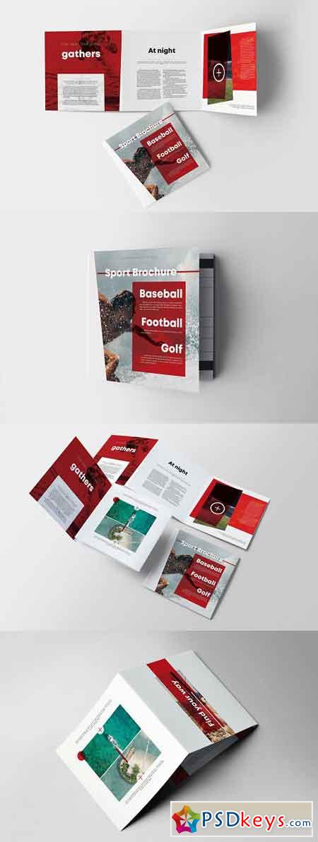 Sport Square Trifold Brochure 2660122