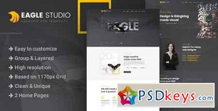 Eagle Studio - Creative PSD Template - 22132185