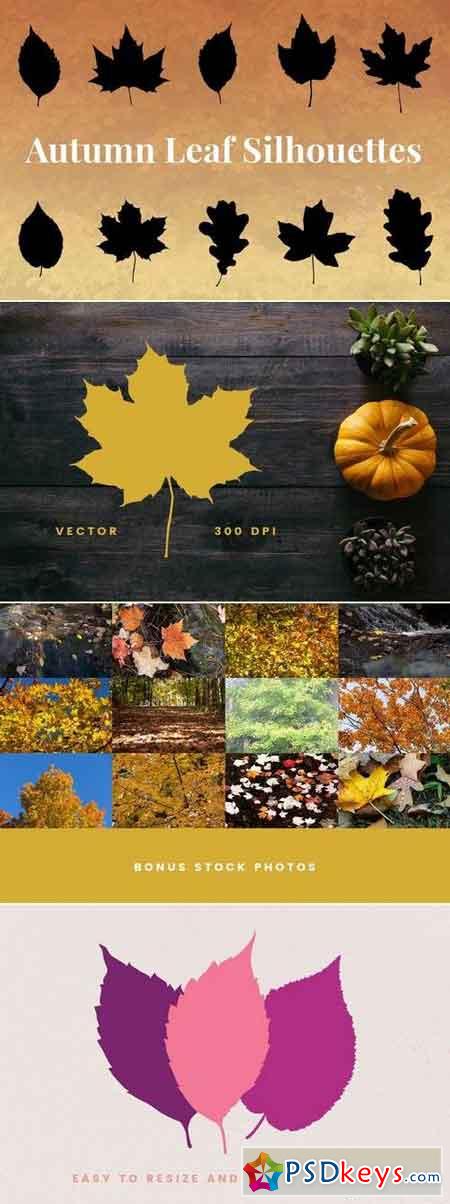 Autumn Leaf Silhouettes + Bonus Stock Photos