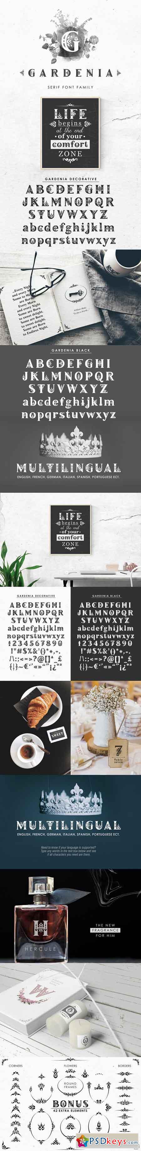 Gardenia - Serif Font Family 2726603