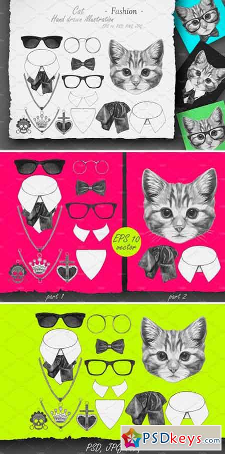 Cat Fashion 2544478